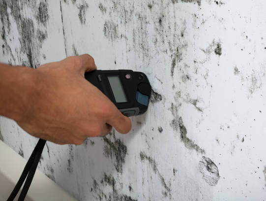 mold-testing-los-angeles mold-testing-los-angeles